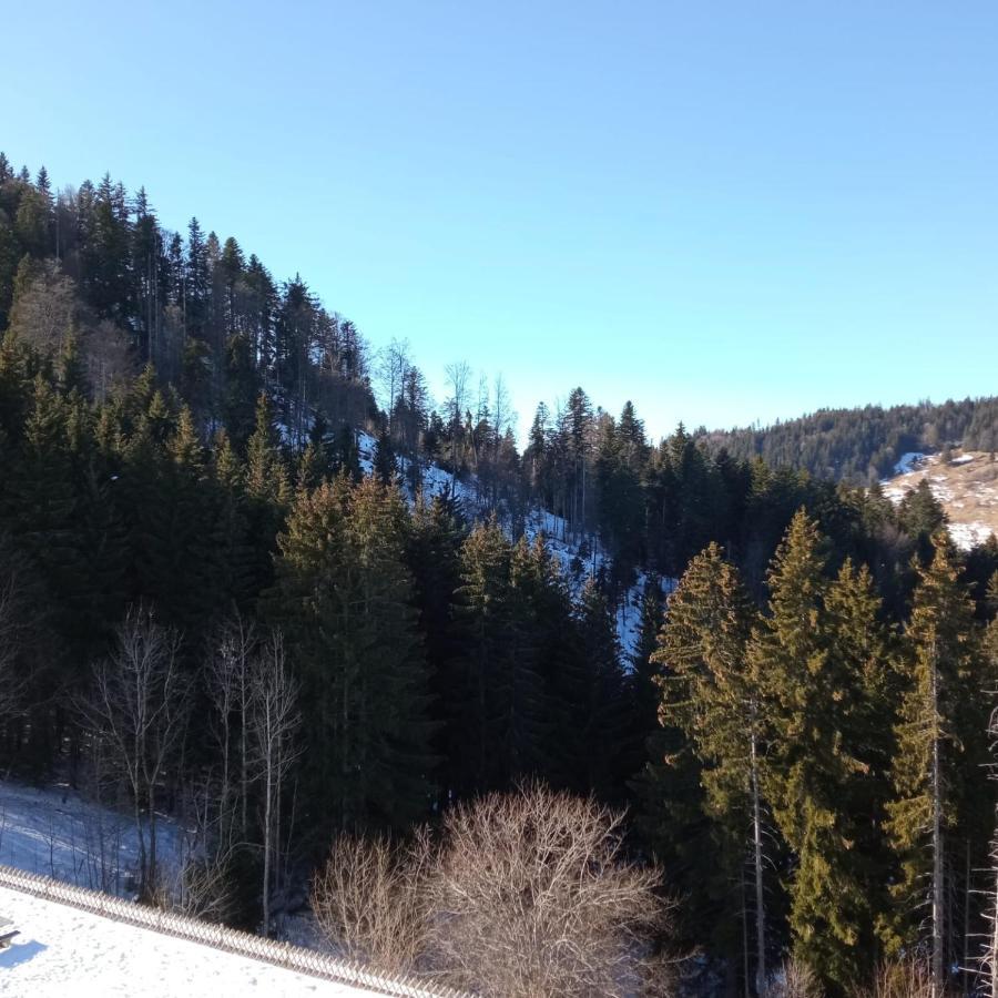 Bellevaux Appartement Dernier Etage Au Pied Des Pistes Hirmentaz מראה חיצוני תמונה